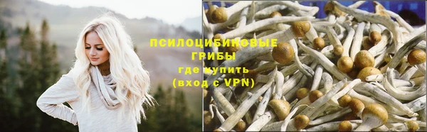 хмурый Алзамай