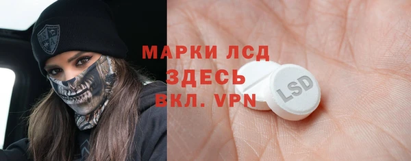 хмурый Алзамай