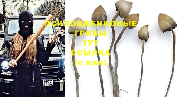 мяу мяу мука Абинск