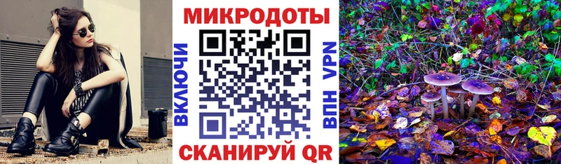 Псилоцибиновые грибы прущие грибы  Иннополис 